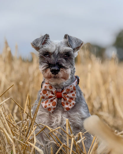 Dog Sailor Bow Tie - Pumpkin Farm
