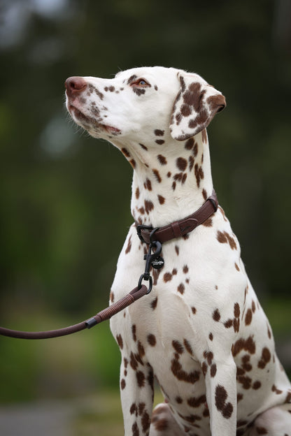 Heritage Faux Leather Dog Collar - Brown