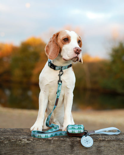 Collar - Daydream Heights