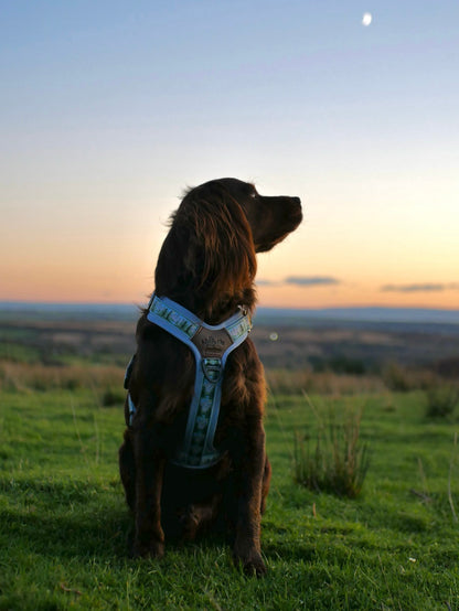 Streamline Pro™ Dog Harness - Daydream Heights