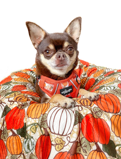 Hike & Go™ Harness - Pumpkin Fields