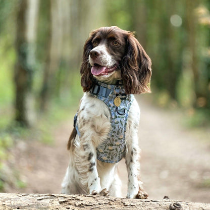 Hike & Go Lite™ Harness - Willow Waters