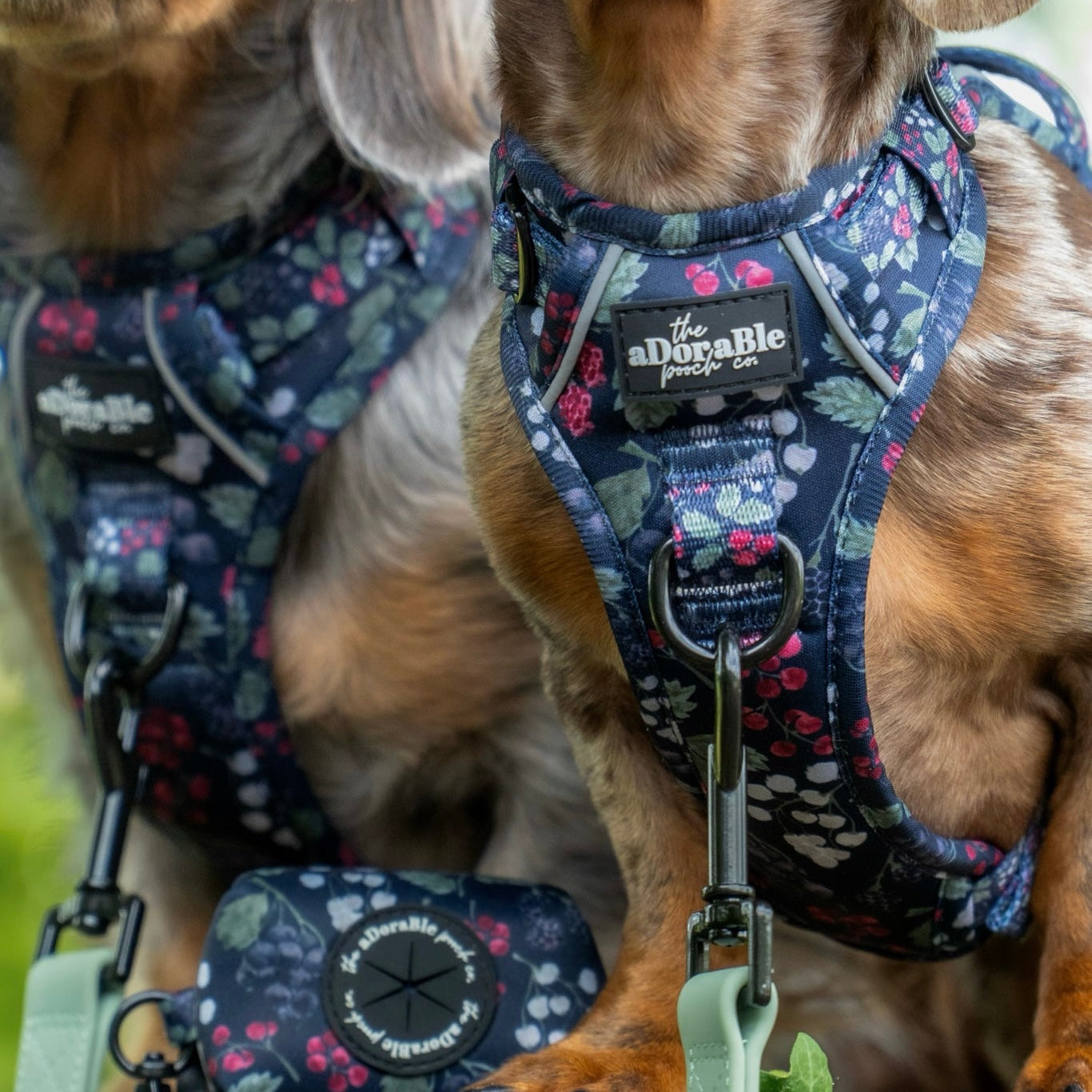 Hike & Go Lite™ Harness - Bramble Berry