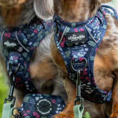 Hike & Go Lite™ Harness - Bramble Berry