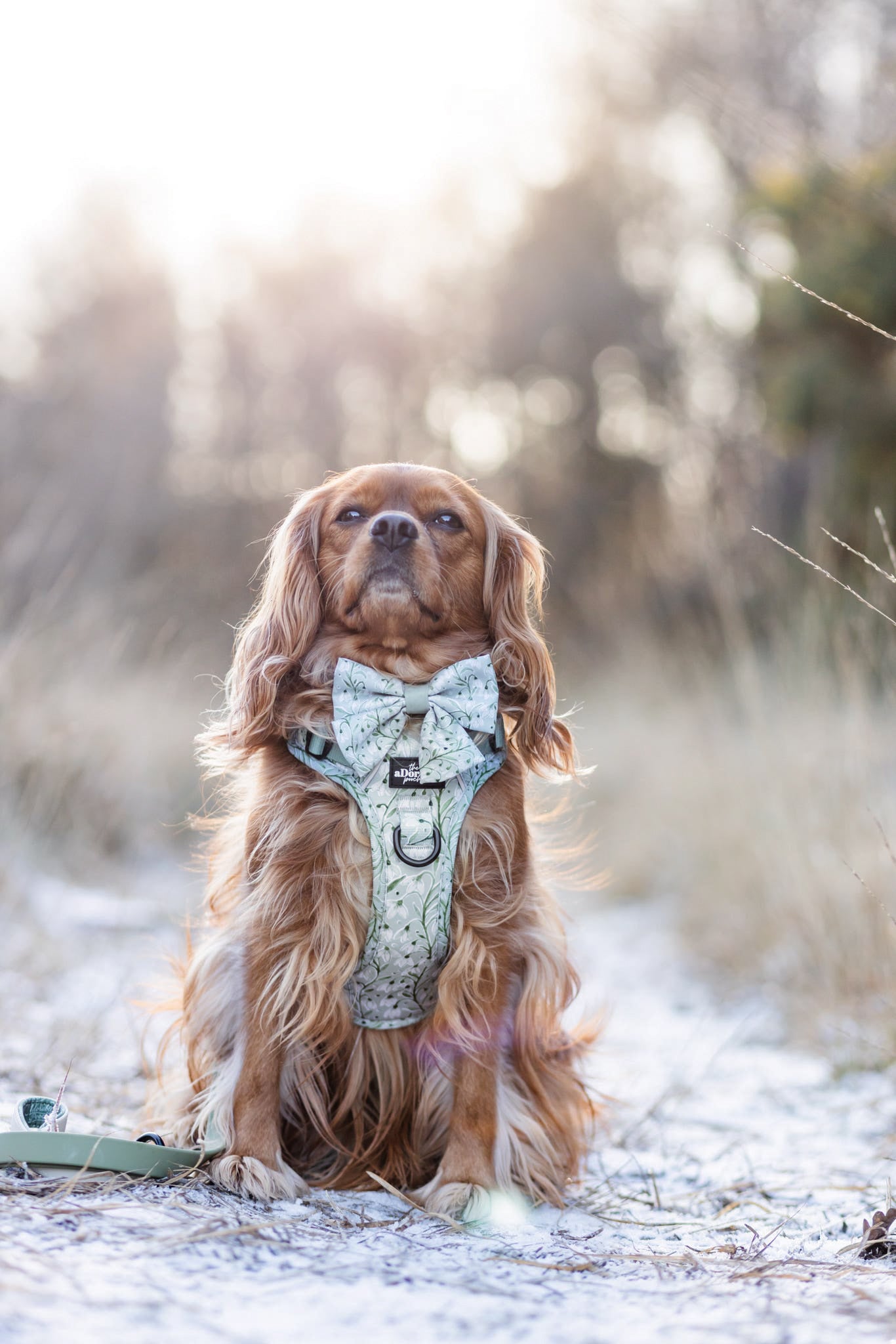 Hike & Go Lite™ Harness - Silent Snowdrops