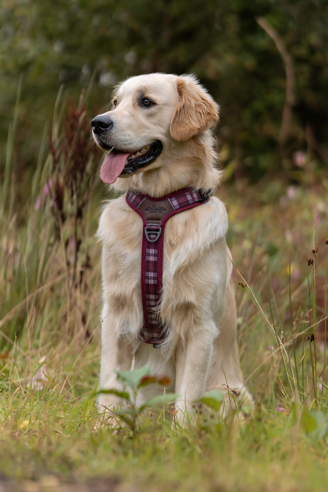 Streamline Pro™ Dog Harness - Heritage Collection - Merlot Manor