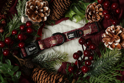 Collar - Winter Fawn