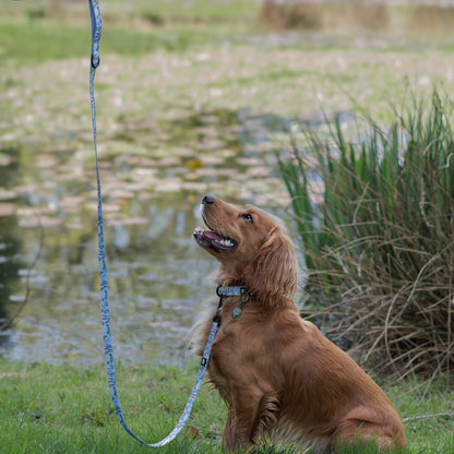 Fabric Dog Lead - Willow Waters