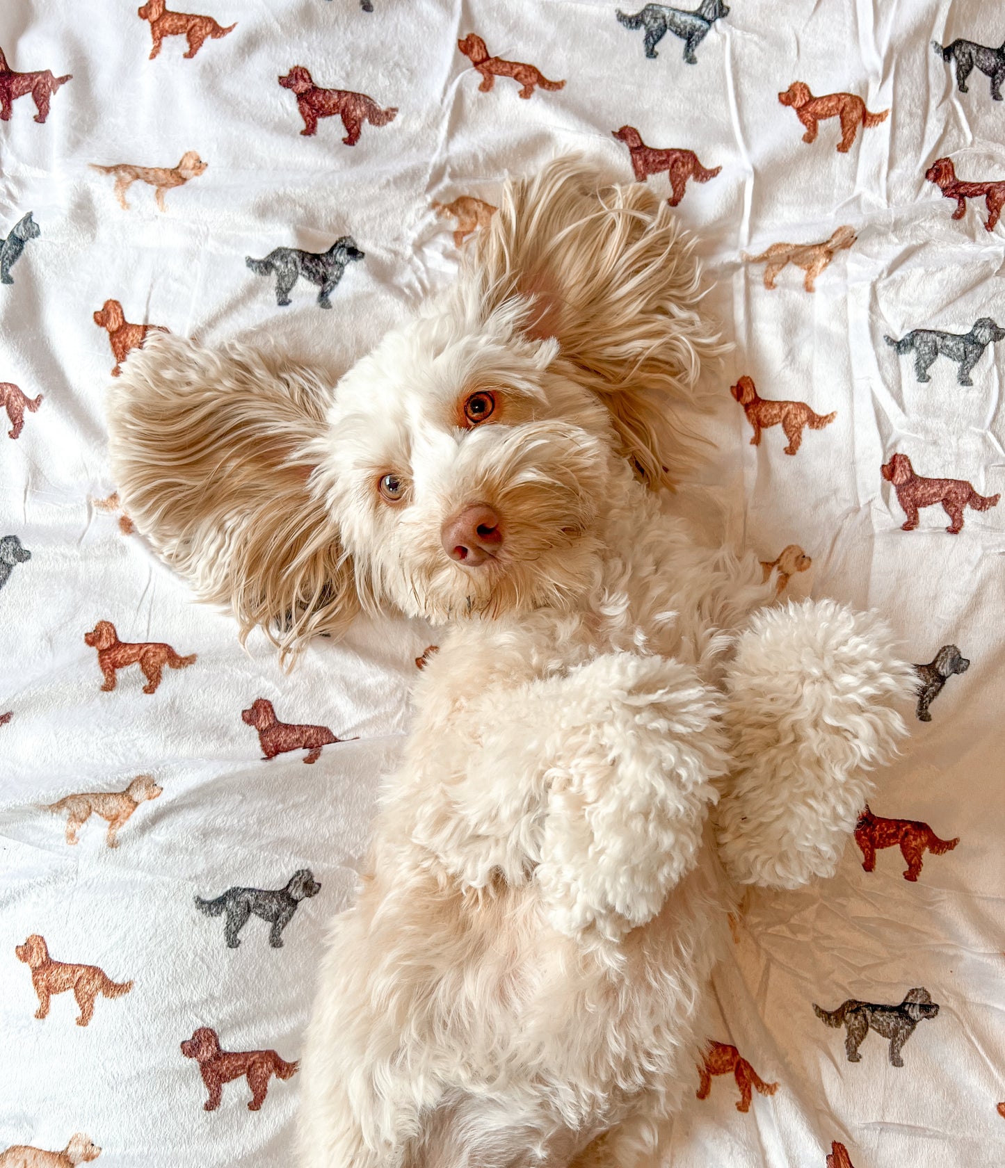 Supersize Soft Blanket - Watercolour Doodles