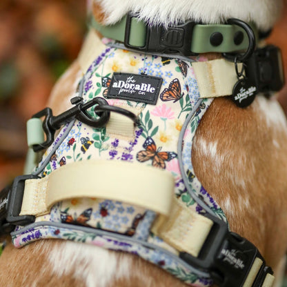 Hike & Go Lite™ Harness - Bumbles & Butterflies