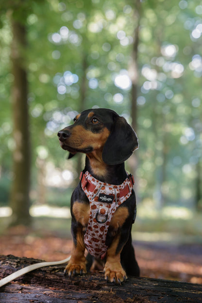 Hike & Go™ Harness - Pumpkin Farm
