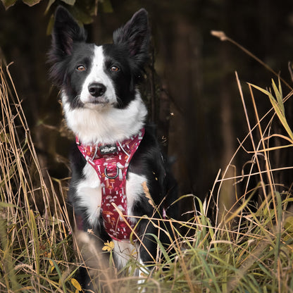 Hike & Go Lite™ Harness - Mulberry Mushrooms