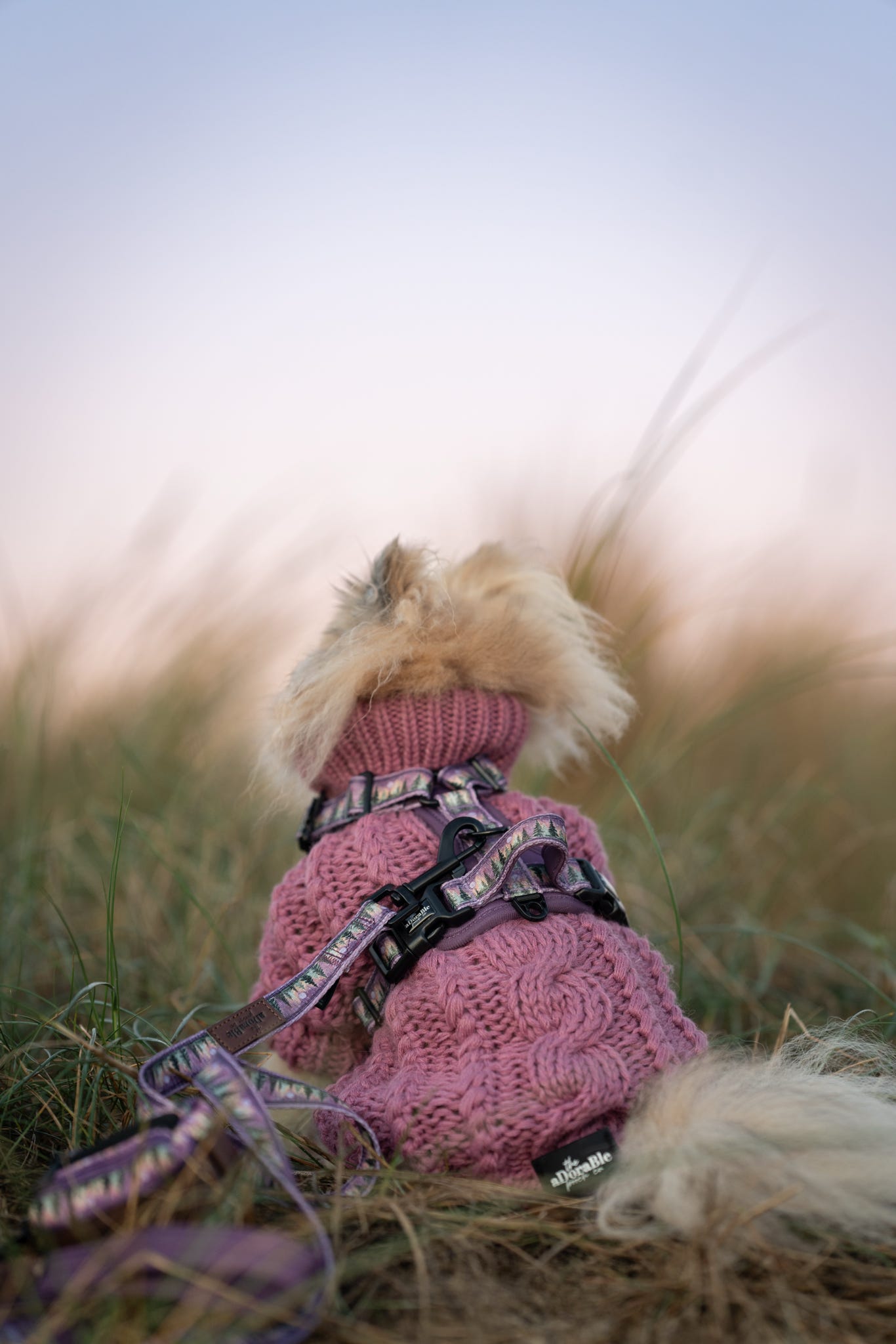 Streamline Pro™ Dog Harness - Moonlit Pines