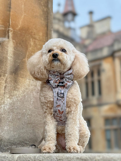 Hike & Go Lite™ Harness - Cotswold Cottage