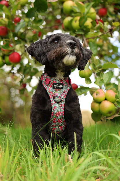 Hike & Go™ Harness - Crab Apple Cottage