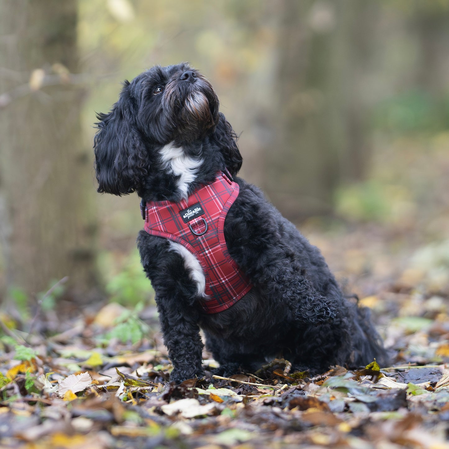 Adjustable Harness - LUXE Berry Red Plaid