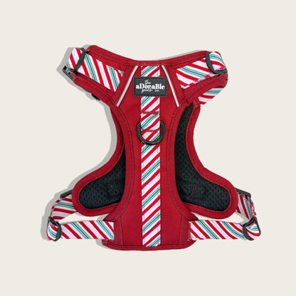 Hike & Go™ Harness - Candy Cane Swirl