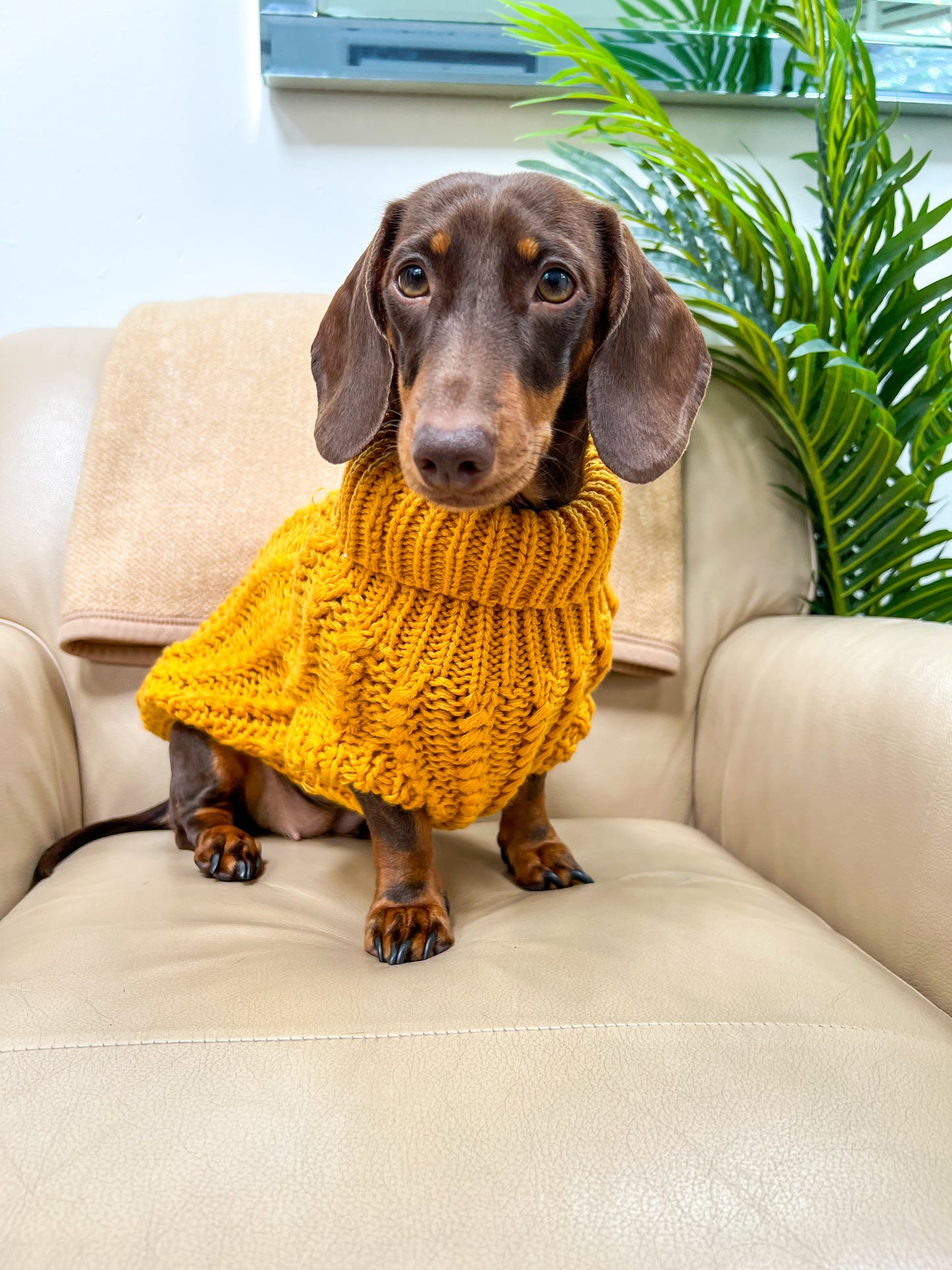 Hand Knitted Dachshund Jumper - Mustard Yellow