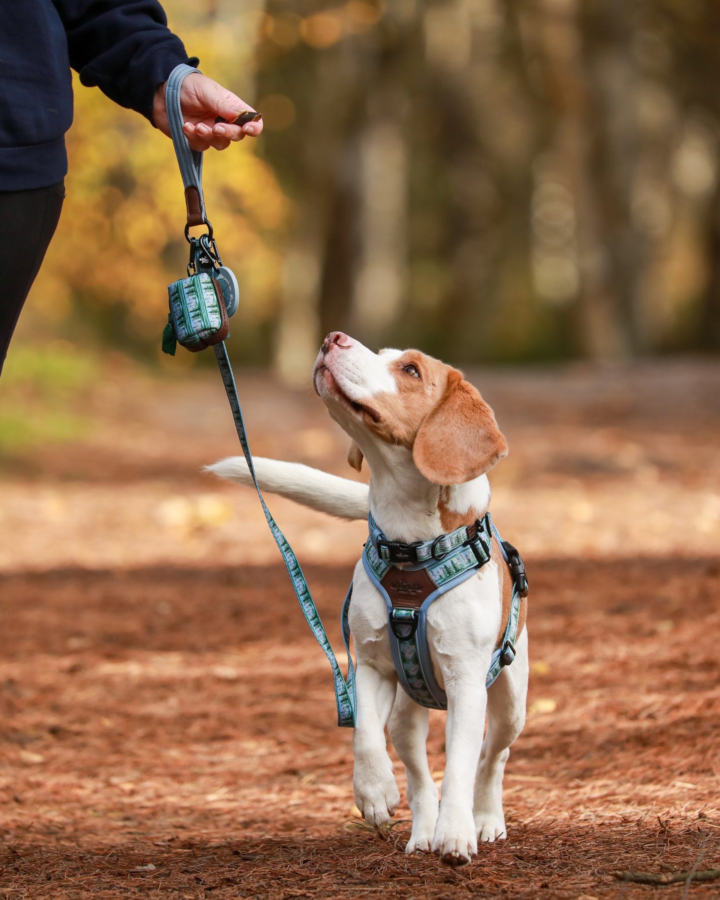 Streamline Pro™ Dog Harness - Daydream Heights