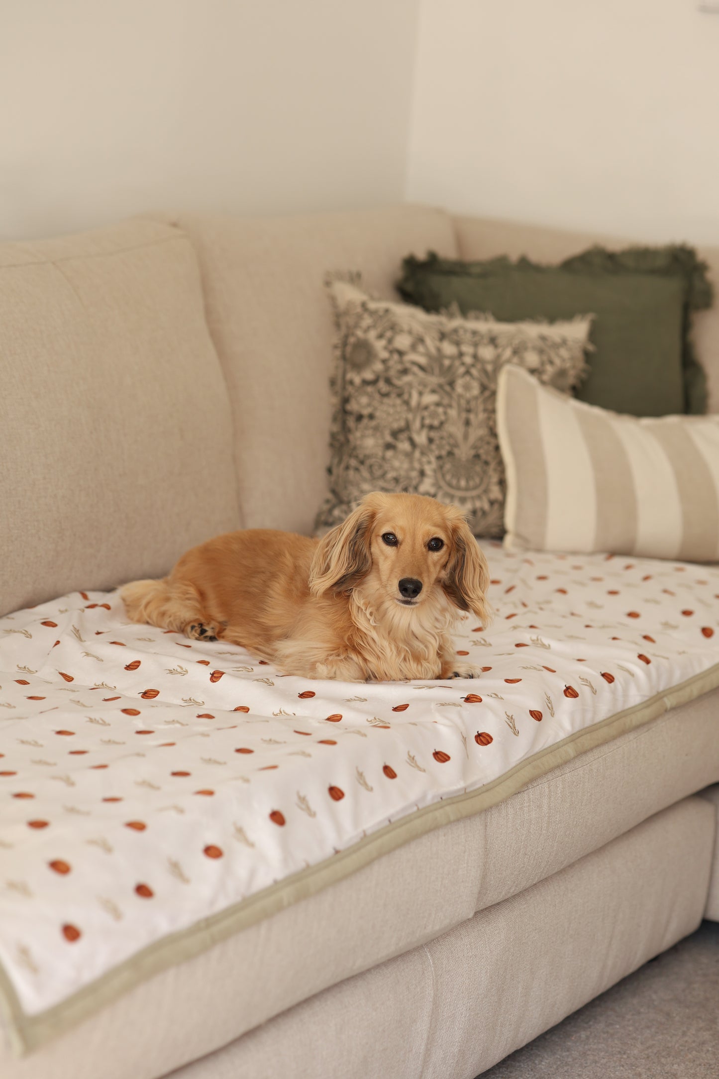 King Size Blanket - Pumpkin Farm