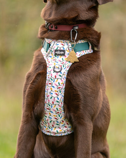 Hike & Go Lite™ Harness - Festive Lights
