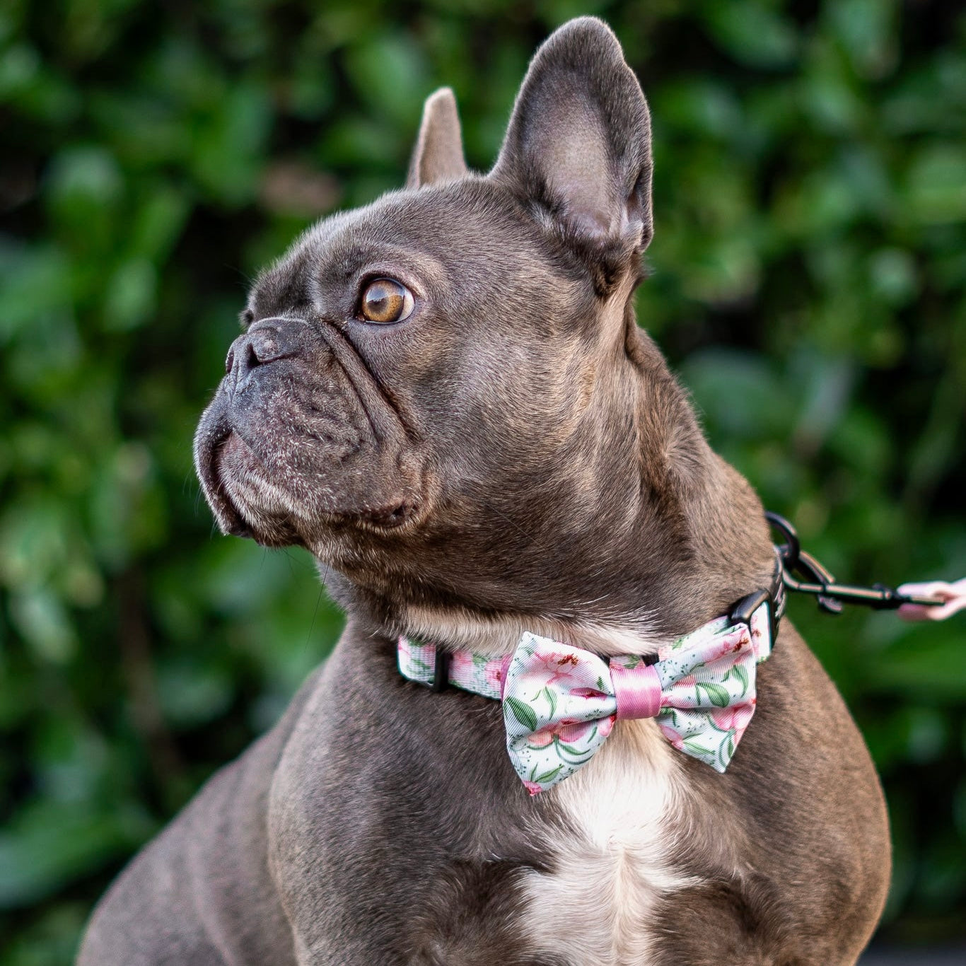 Bow Tie - Peony Petals