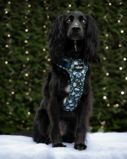 Hike & Go Lite™ Harness - Twelve Days