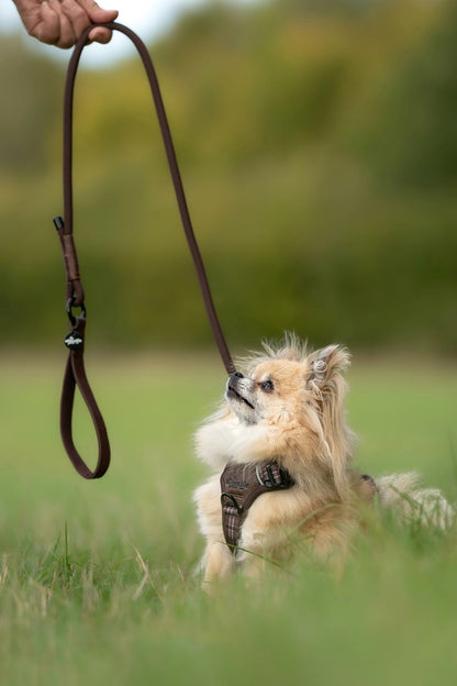 Heritage Faux Leather Rope Dog Lead - Brown