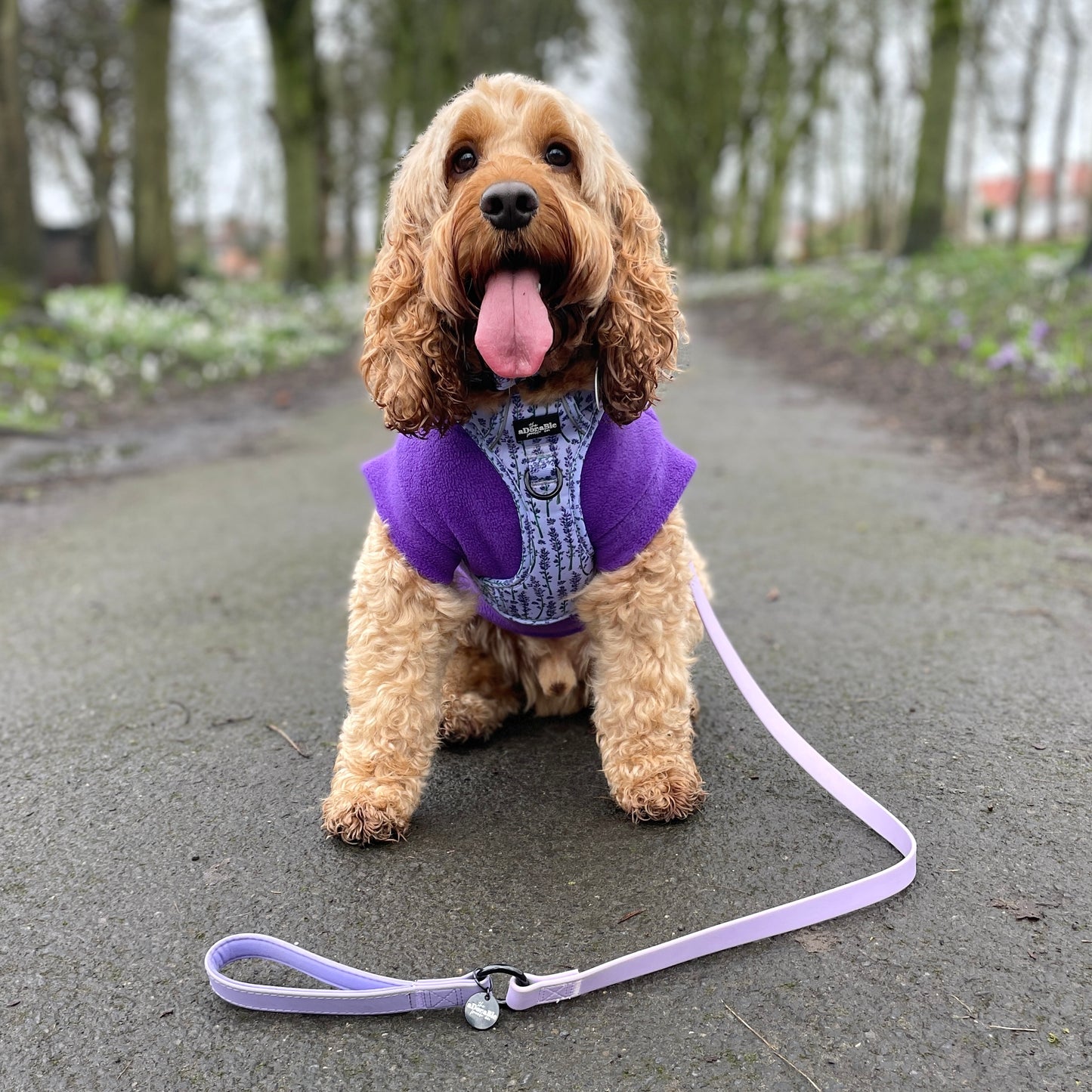 HydroFlex™ Two-tone Waterproof Dog Lead - Lavender