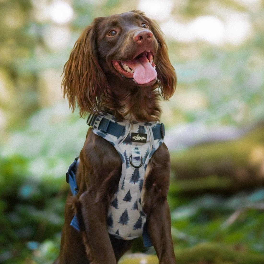 Hike & Go™ Harness - Fresh Pines