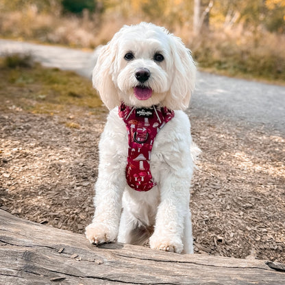 Hike & Go Lite™ Harness - Mulberry Mushrooms