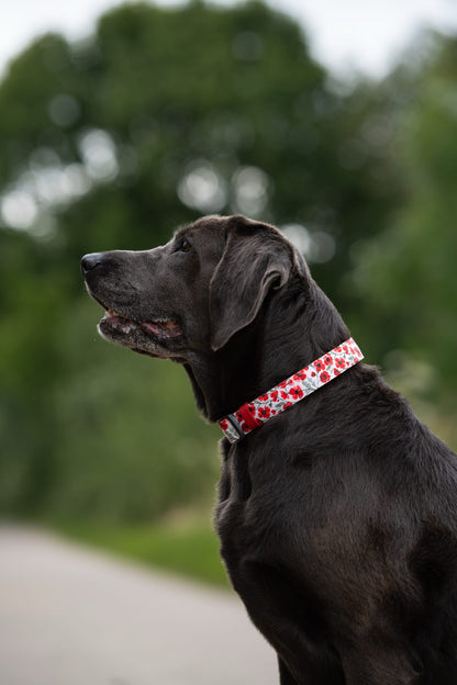 Collar - Painted Poppies