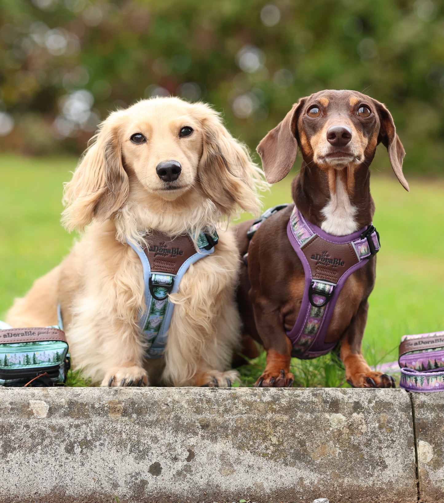 Streamline Pro™ Dog Harness - Moonlit Pines