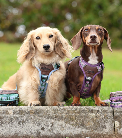 Streamline Pro™ Dog Harness - Moonlit Pines