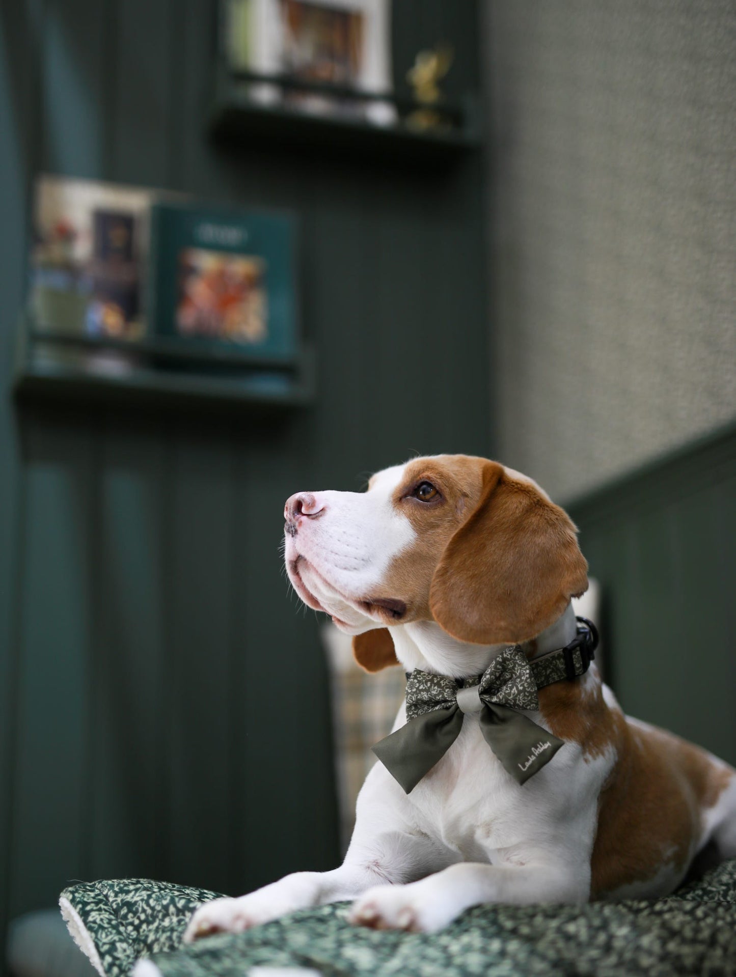 Laura Ashley Dog & Puppy Bed Blanket - Sweet Alyssum