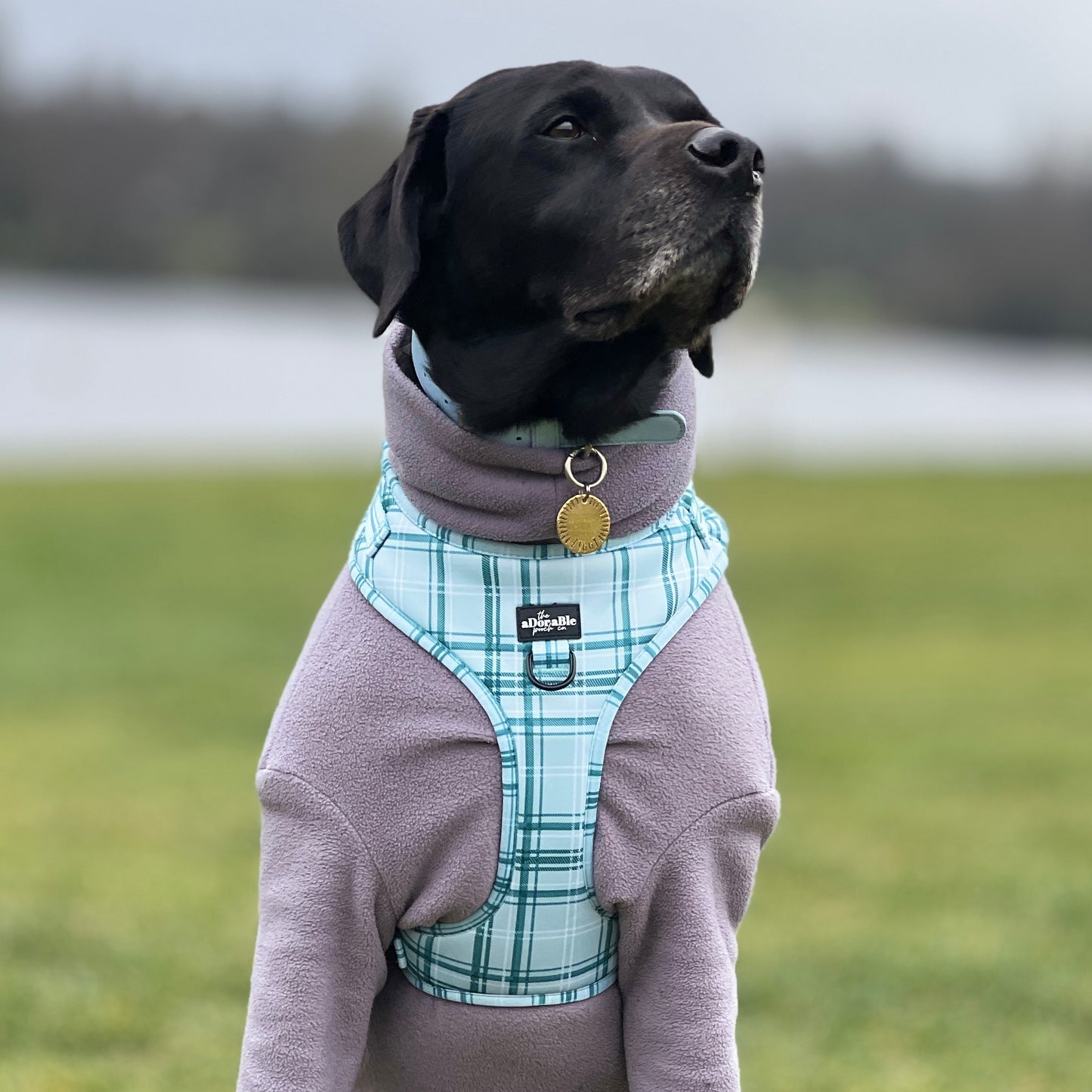 Adjustable Harness - LUXE Frosted Mint Plaid