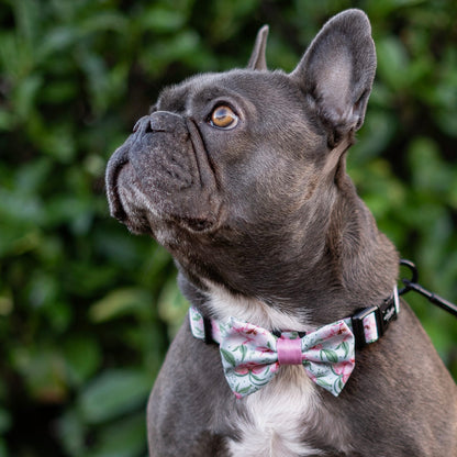 Bow Tie - Peony Petals