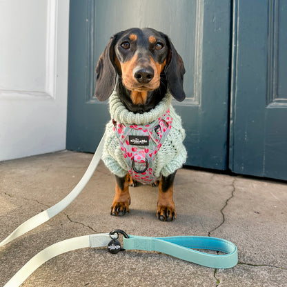 Hand Knitted Dachshund Jumper - Frosted Mint