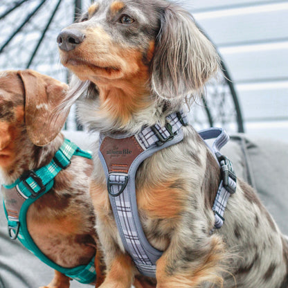 Streamline Pro™ Dog Harness - Heritage Collection - Gunsmoke Grey