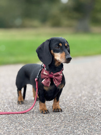 Sailor Bow Tie - Winter Fawn
