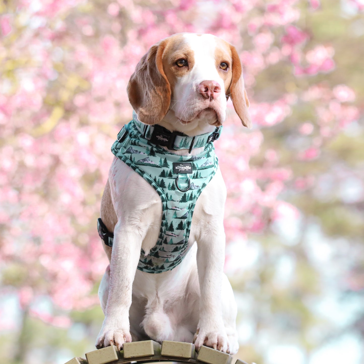 Adjustable Harness - Highland Mountains