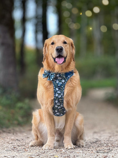 Hike & Go Lite™ Harness - Twelve Days