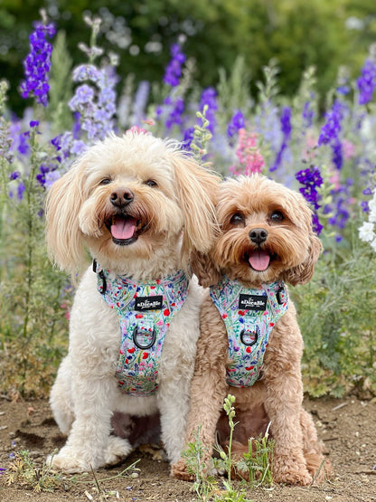 Hike & Go Lite™ Harness - Wildflower Meadow