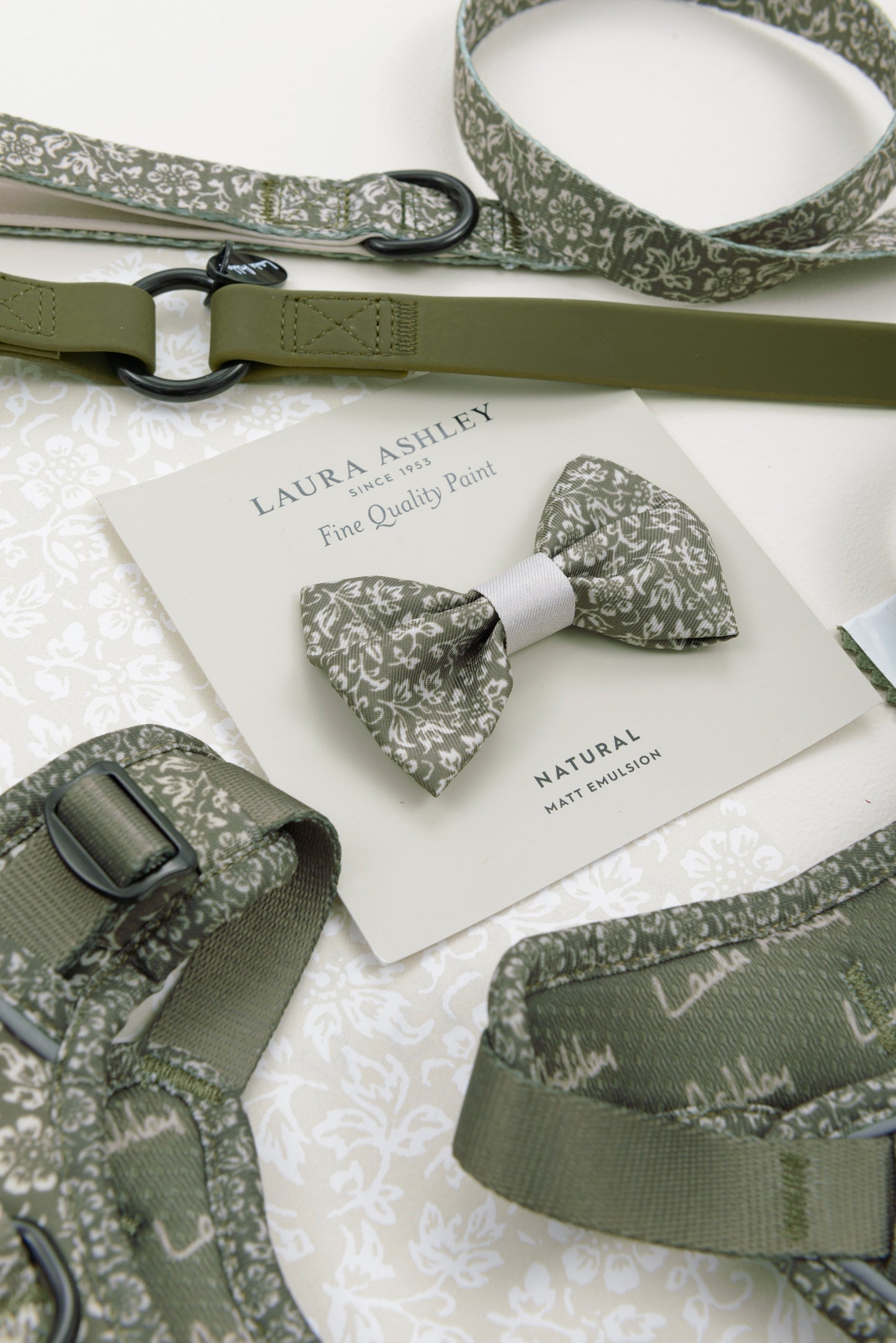Laura Ashley Dog Dickie Bow Tie - Sweet Alyssum