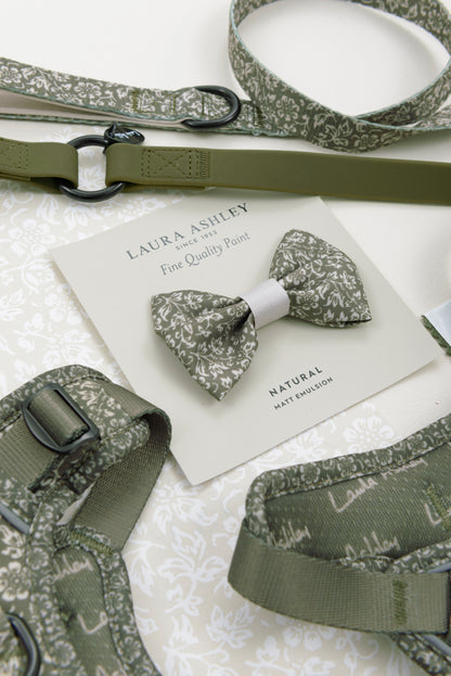 Laura Ashley Dog Dickie Bow Tie - Sweet Alyssum
