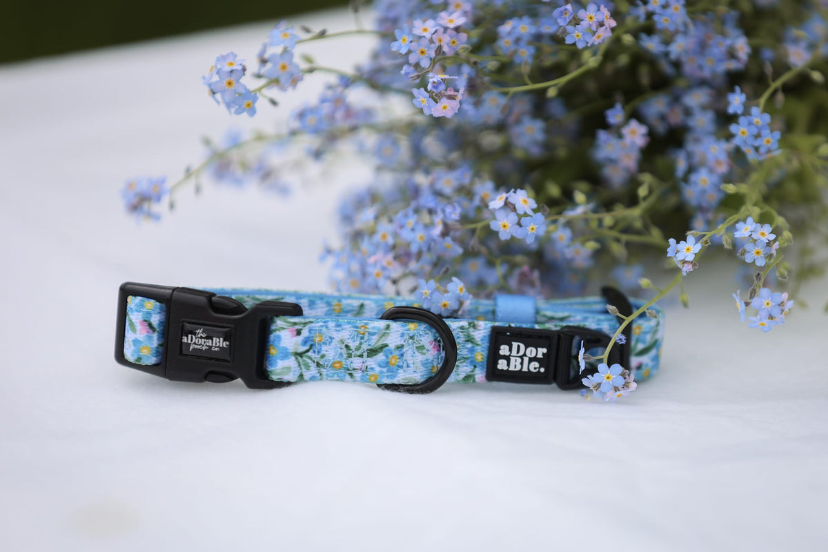 Dog Collar - Flourishing Forget-Me-Nots