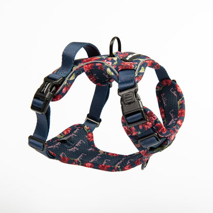 Laura Ashley Dog Harness - Gosford Meadow