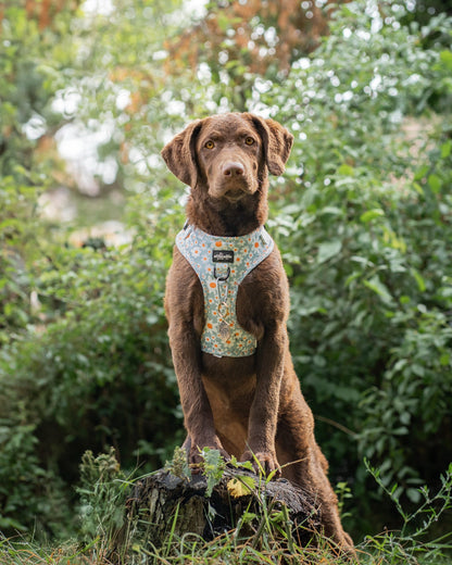 Adjustable Harness - Oopsy Daisy
