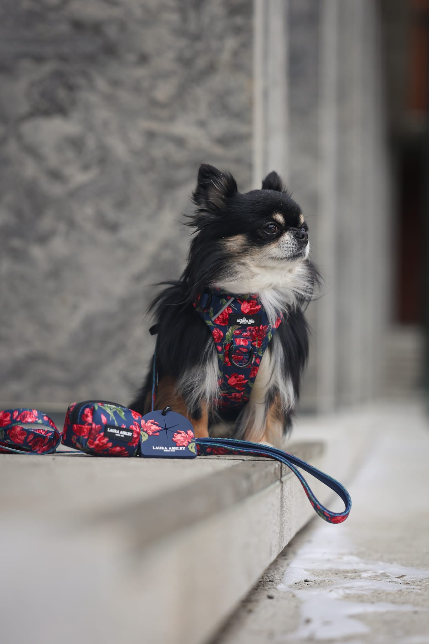 Laura Ashley Dog Harness - Gosford Meadow