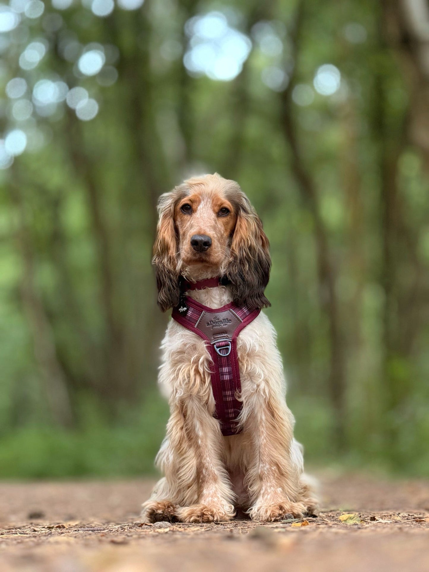 Streamline Pro™ Dog Harness - Heritage Collection - Merlot Manor